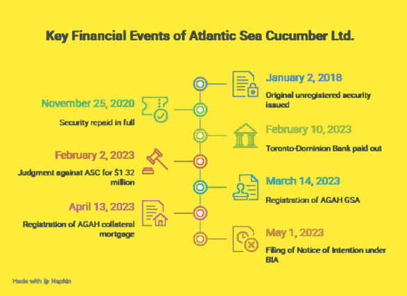 Infographic showing related party relationships including owners, family members, and connected companies