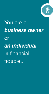 You are a Business Owner or Individual