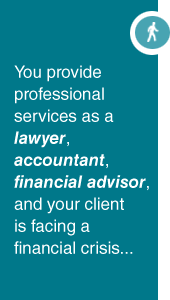 You are a Lawyer, Accountant, or Financial Advisor